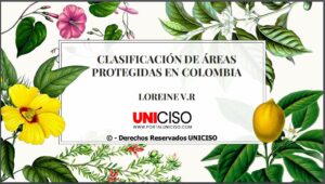 CLASIFICACIÓN DE ÁREAS PROTEGIDAS EN COLOMBIA