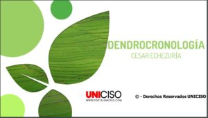 DENDROCRONOLOGÍA