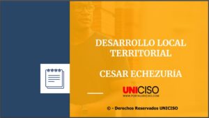 DESARROLLO LOCAL