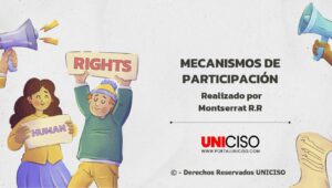 MECANISMO DE PARTICIPACIÓN