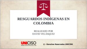 RESGUARDOS INDÍGENAS EN COLOMBIA