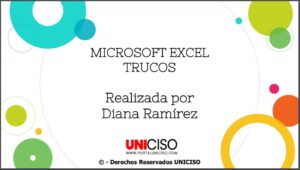 MICROSOFT EXCEL V