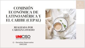 COMISIÓN ECONÓMICA DE LATINOAMÉRICA Y EL CARIBE (CEPAL)