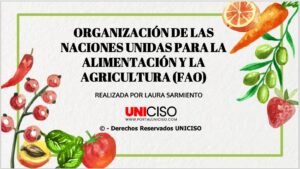 ORGANIZACIÓN DE LAS NACIONES UNIDAS PARA LA ALIMENTACIÓN Y LA AGRICULTURA (FAO)