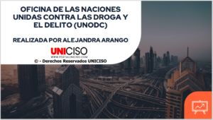 OFICINA DE LAS NACIONES UNIDAS CONTRA LAS DROGA Y EL DELITO - UNODC