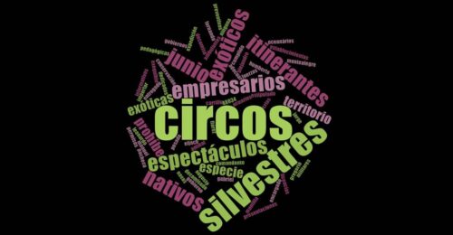 Consulta de frecuencia de palabras (1)