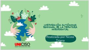 CORPORACIÓN AUTÓNOMA REGIONAL DE LA FRONTERA NORORIENTAL