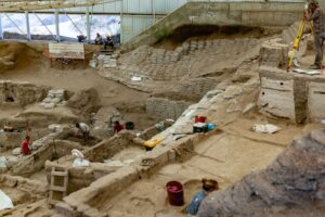 PODCAST APRENDE DE ARQUEOLOGÍA Y PALEOBOTÁNICA  - INVITADA DIANA ROCIO CARVAJAL