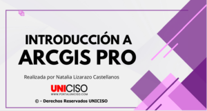 ARCGIS PRO