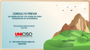 CONSULTA PREVIA