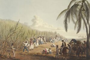 ARISTIDES RAMOS PEÑUELA